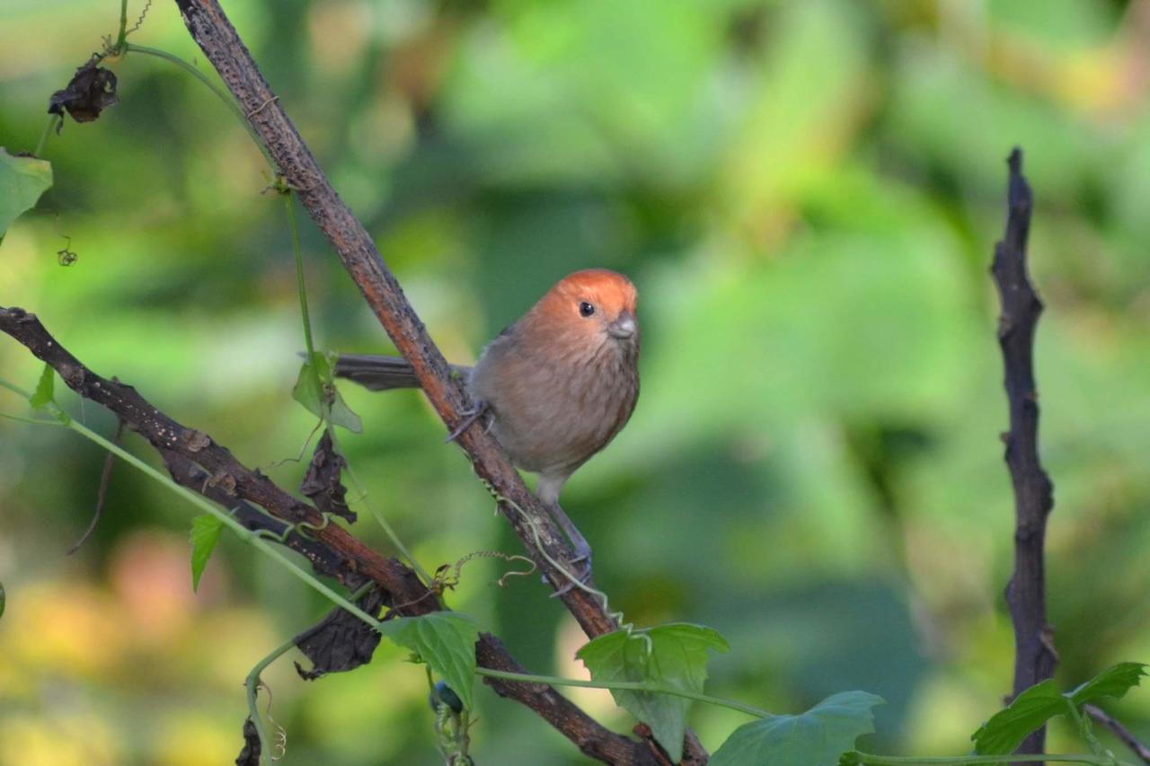Water Bird Family Apartment Toucheng Bagian luar foto