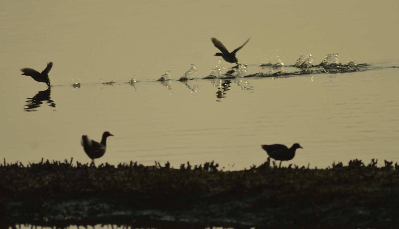 Water Bird Family Apartment Toucheng Bagian luar foto